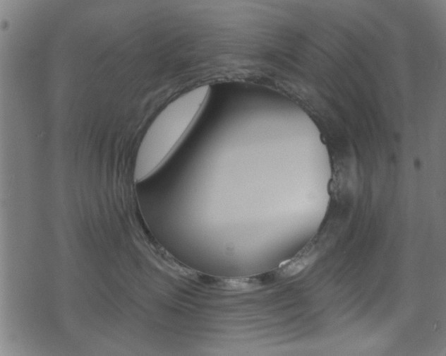 X0000071340623200606230738