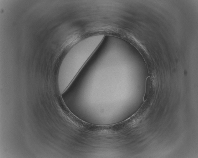 X0000071340637200606230738