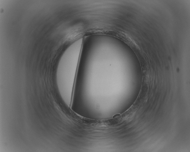 X0000071340643200606230738
