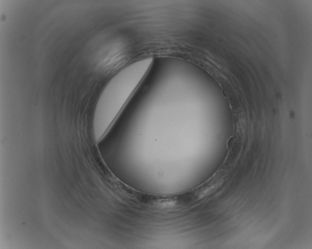 X0000071340651200606230738