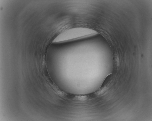 X0000071340665200606230738