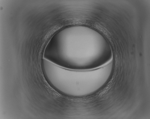 X0000071340673200606230738