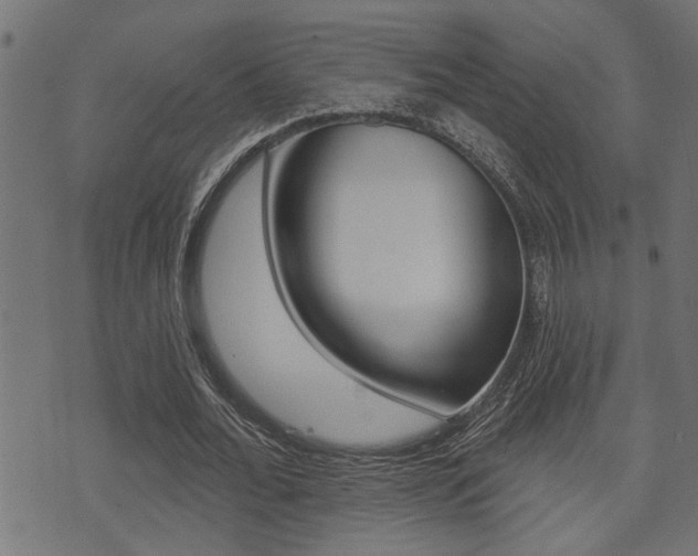 X0000071340676200606230738