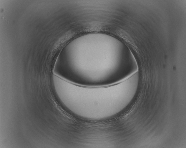 X0000071340681200606230738
