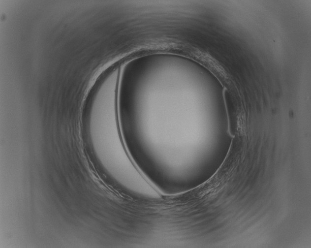 X0000071340724200606230736
