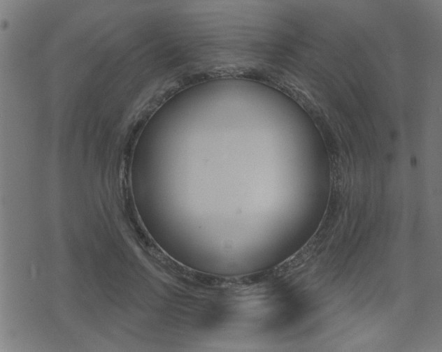 X0000071340742200606230736