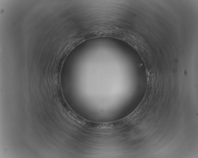 X0000071340756200606230737