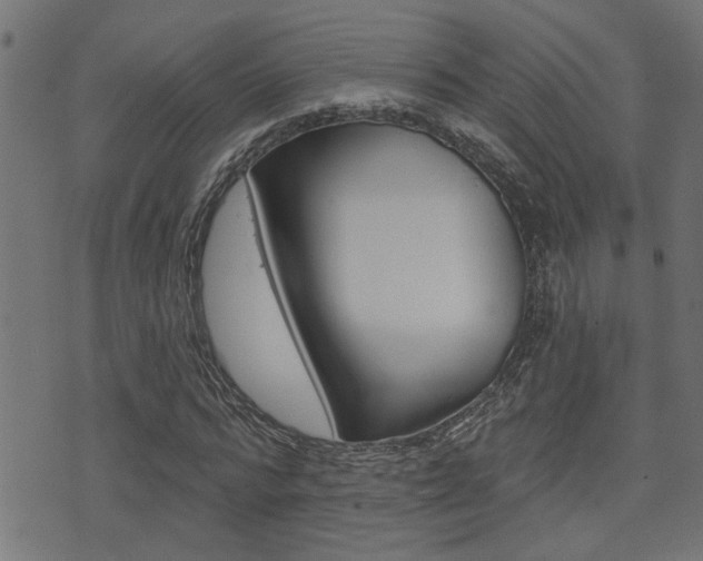 X0000071340776200606230736