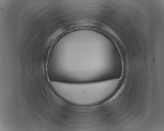 X0000071340777200606230736