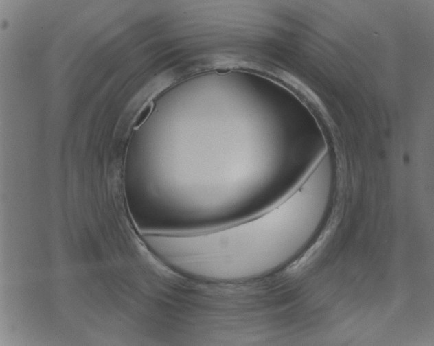 X0000071340801200606230736