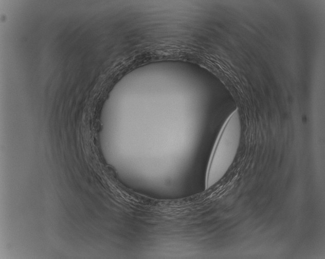 X0000071340817200606230735