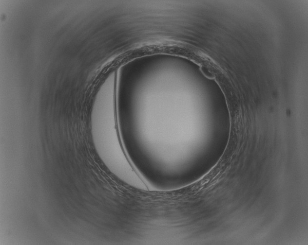 X0000071340822200606230735