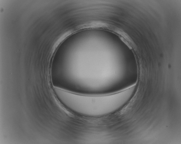 X0000071340850200606230735
