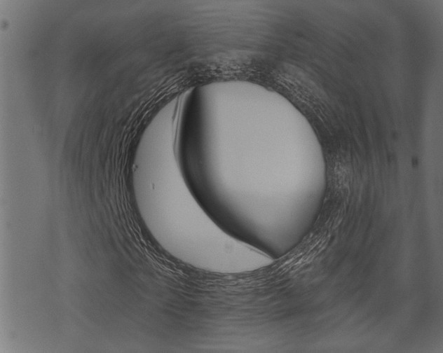 X0000071340865200606230735