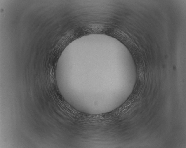 X0000071340866200606230735