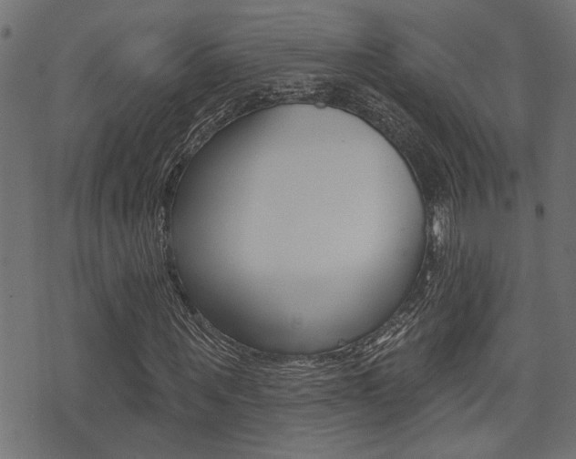 X0000071340867200606230735