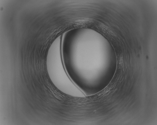 X0000071340868200606230735