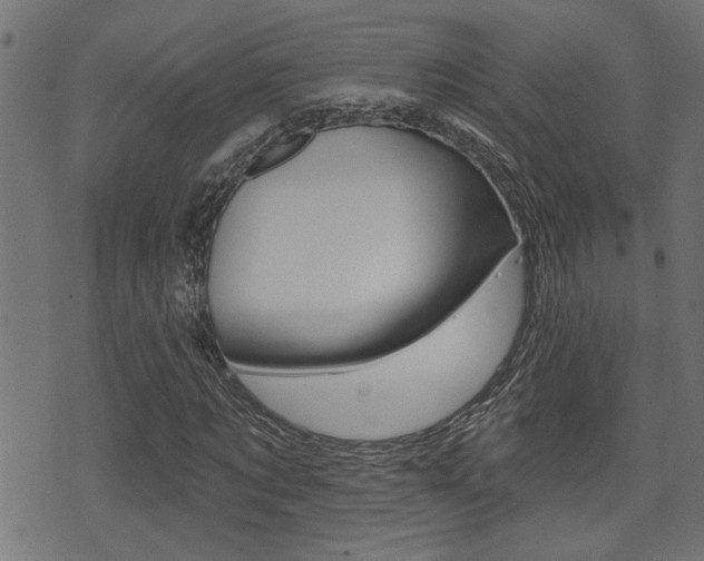 X0000071340869200606230735