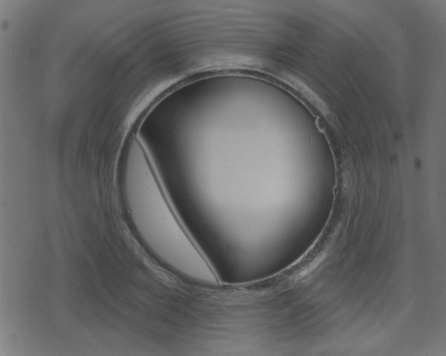X0000071340885200606230734