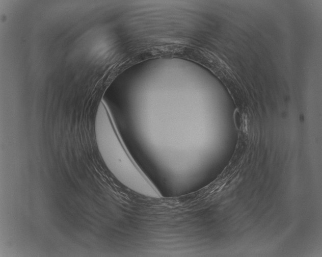 X0000071340915200606230733