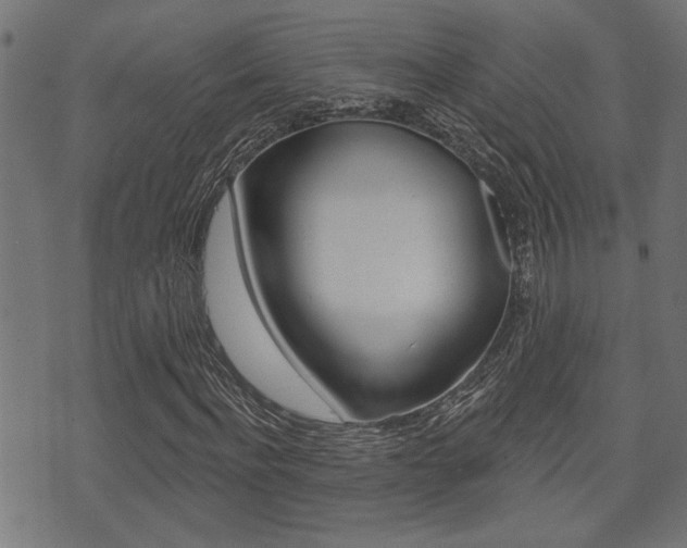 X0000071340916200606230733