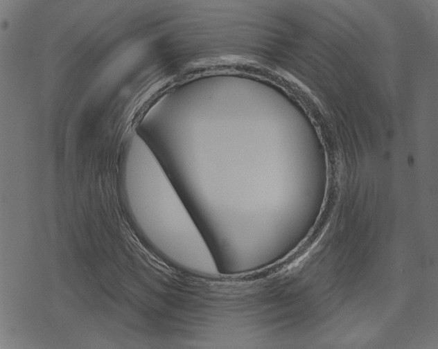 X0000071340921200606230733