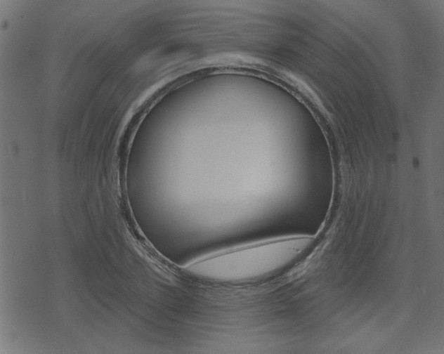 X0000071340931200606230733
