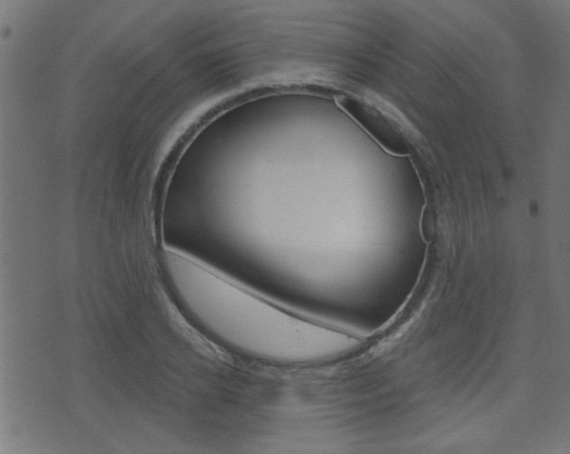 X0000071340934200606230733