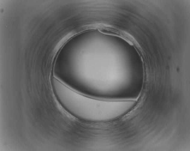 X0000071340946200606230734