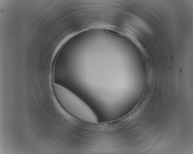 X0000071340955200606230734