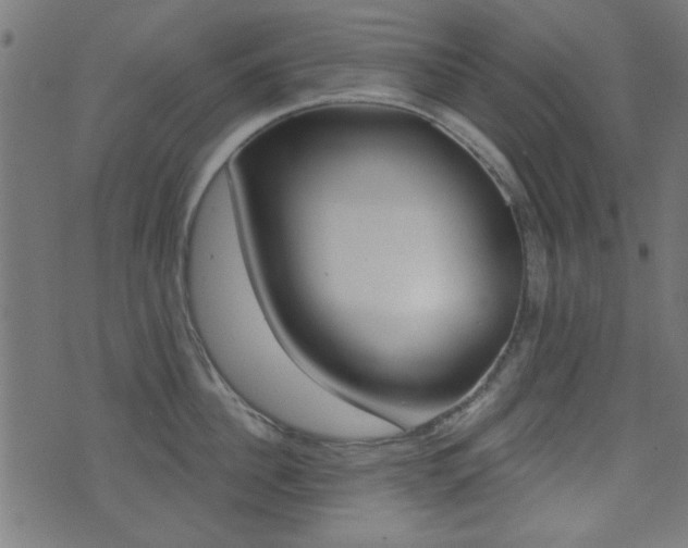 X0000071340956200606230734