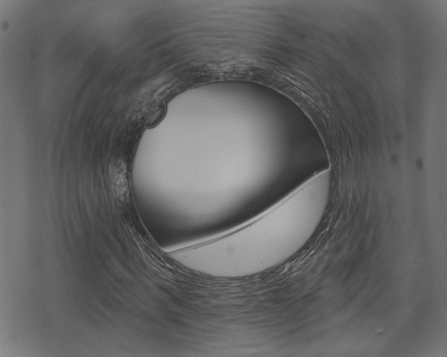 X0000071340963200606230733