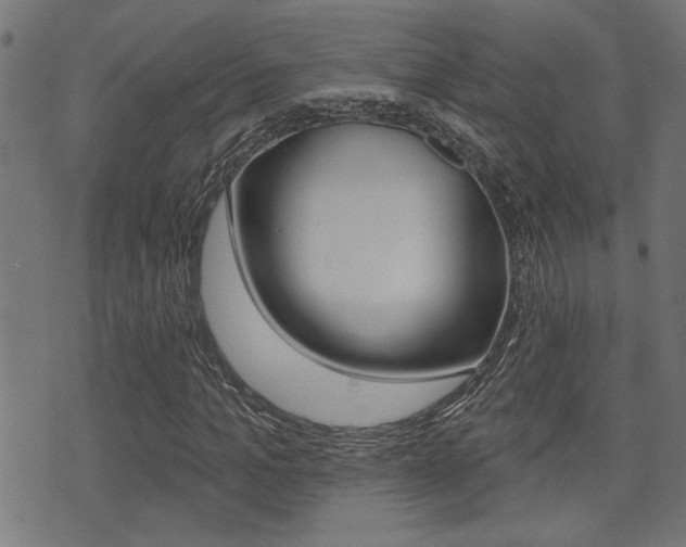 X0000071340965200606230733