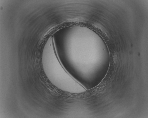 X0000071340968200606230733