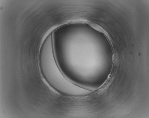 X0000071341005200606230732