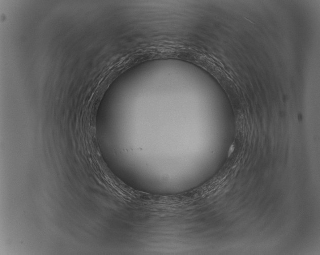X0000071341009200606230732