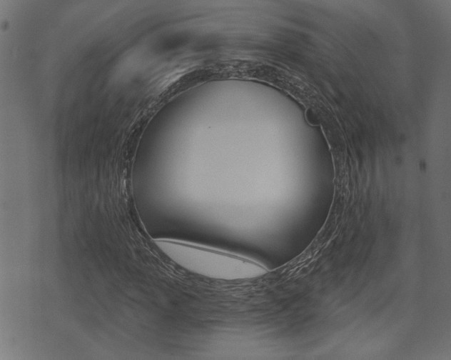 X0000071341013200606230732