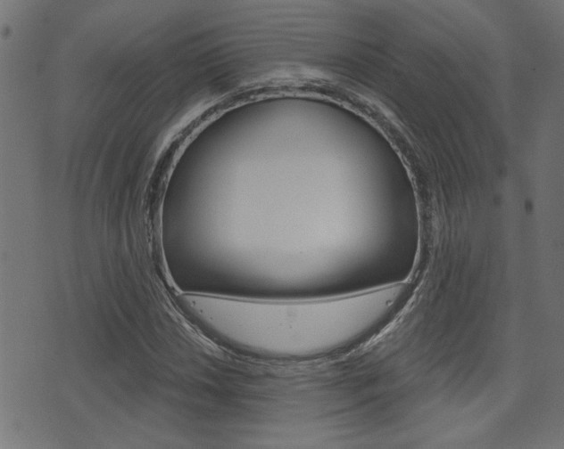 X0000071341018200606230732
