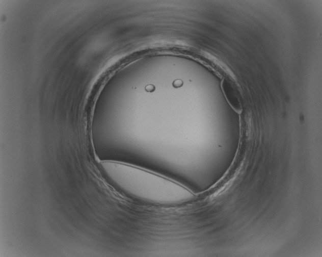 X0000071341021200606230732