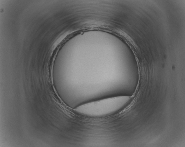 X0000071341023200606230732
