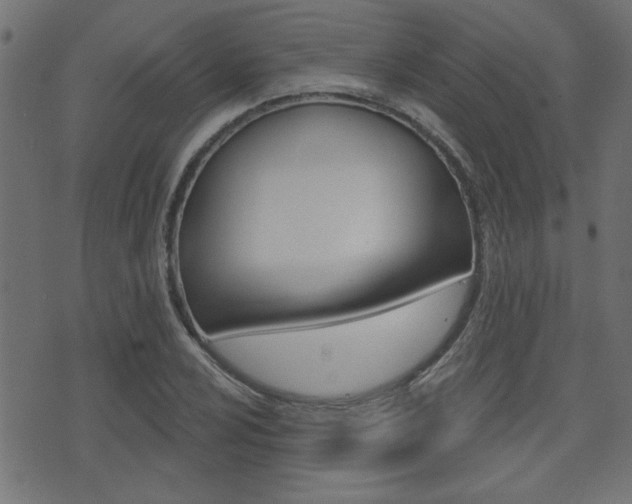 X0000071341024200606230732