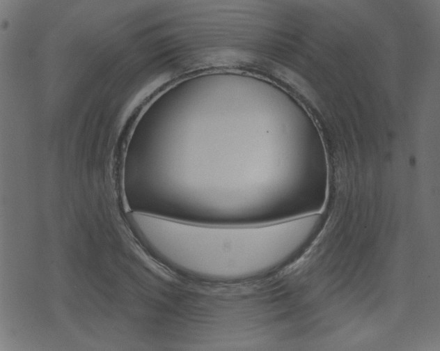 X0000071341026200606230732