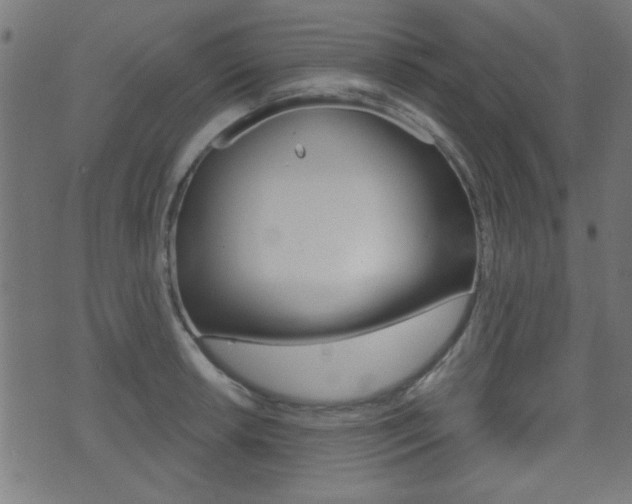 X0000071341042200606230732