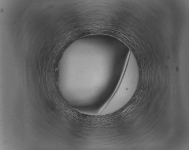 X0000071341057200606230731