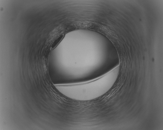 X0000071341058200606230731