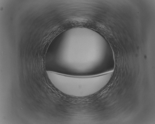X0000071341061200606230731