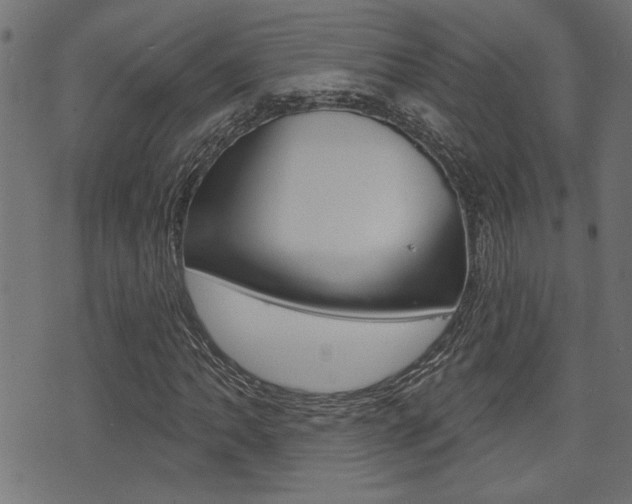 X0000071341062200606230731