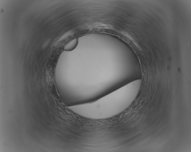 X0000071341063200606230731