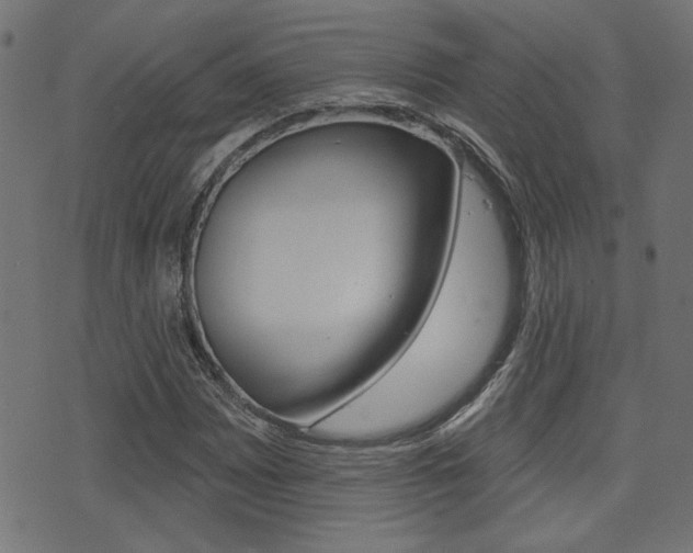 X0000071341065200606230731