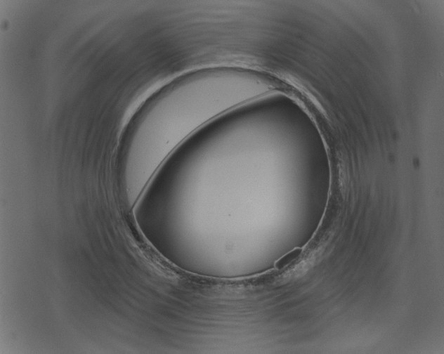 X0000071341069200606230731